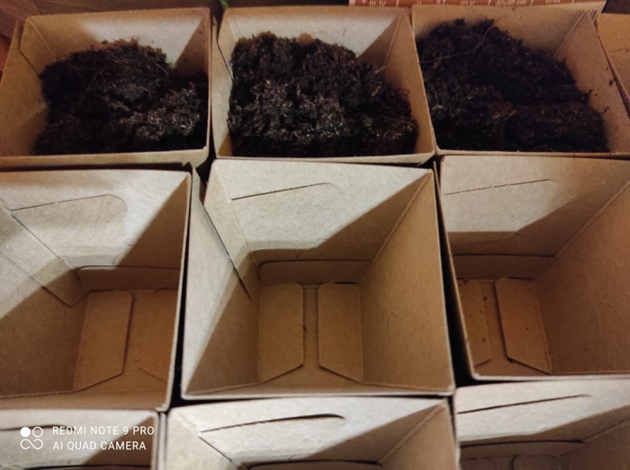 Fidoniczka | Phipot | Seedling pot | Magic box - 10 PCS foto 6